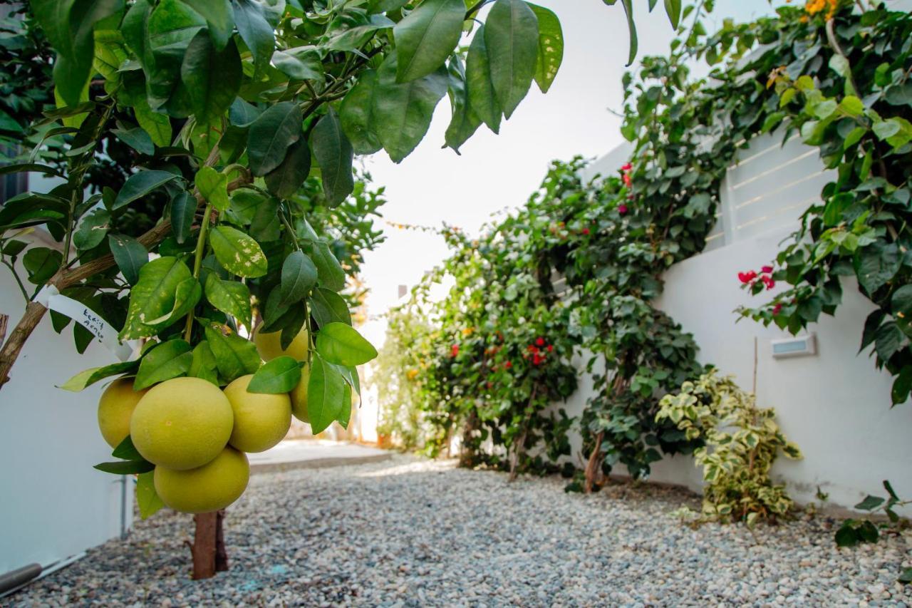 Island Home Seaside Villa Paralimni Eksteriør billede